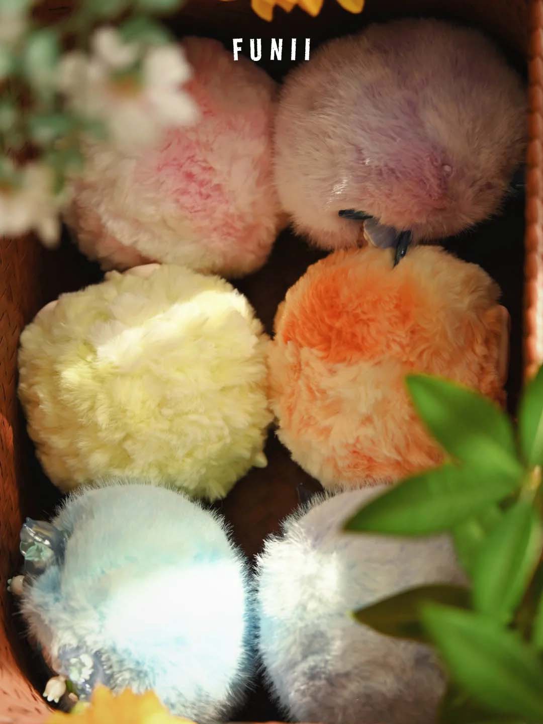 【Funii】Wandering In Wonderland